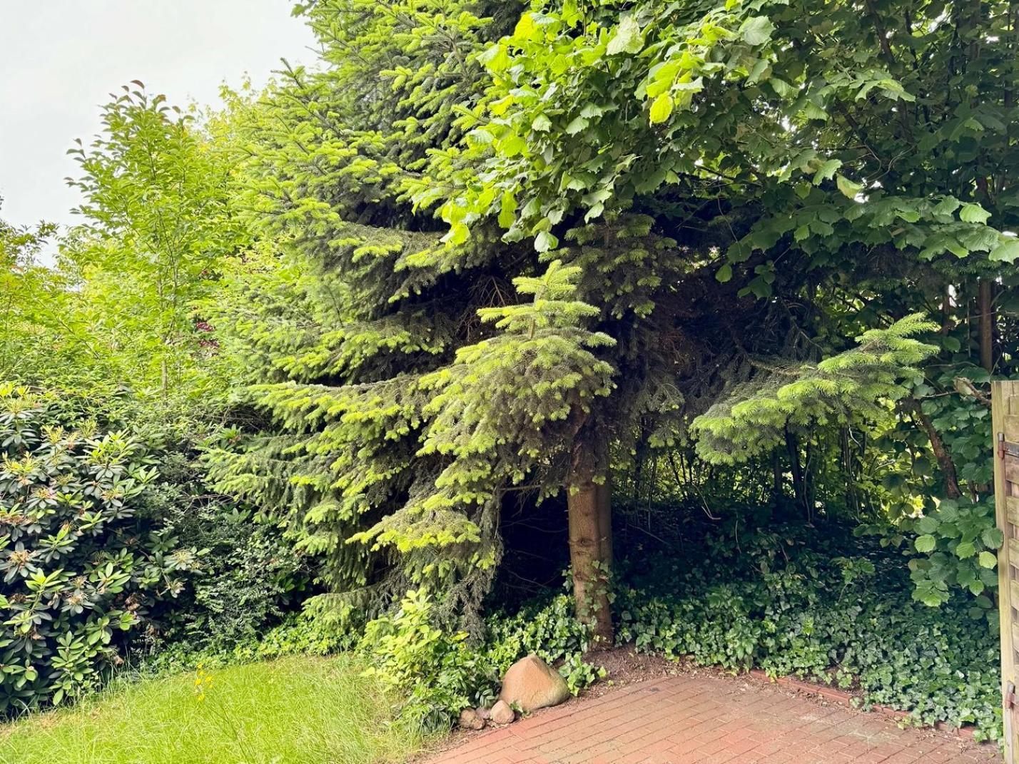 Huus Freonskip Dangast Bagian luar foto